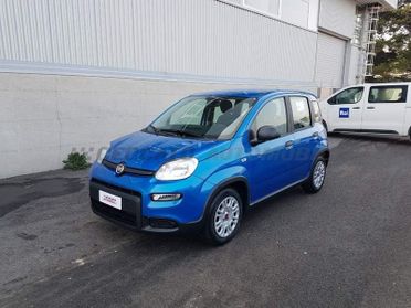 FIAT Panda Panda My24 1.0 Hybrid Panda 70cv