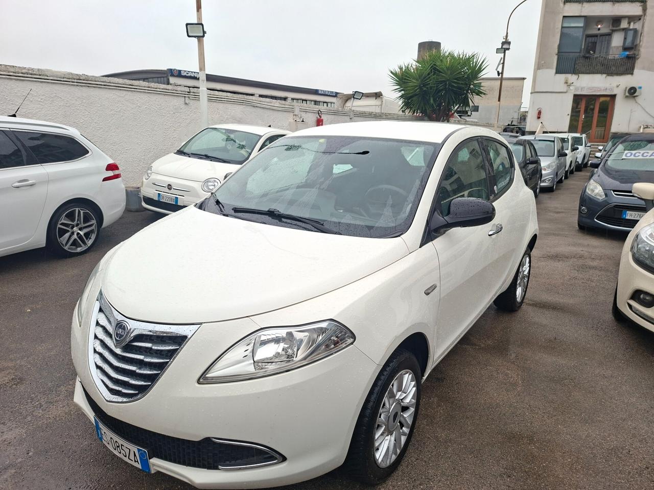Lancia Ypsilon 0.9 TwinAir 85 CV 5 porte Metano Ecochic Elefantino