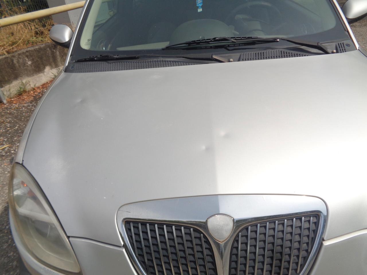 Lancia Ypsilon 1.3 Multijet 16V Argento
