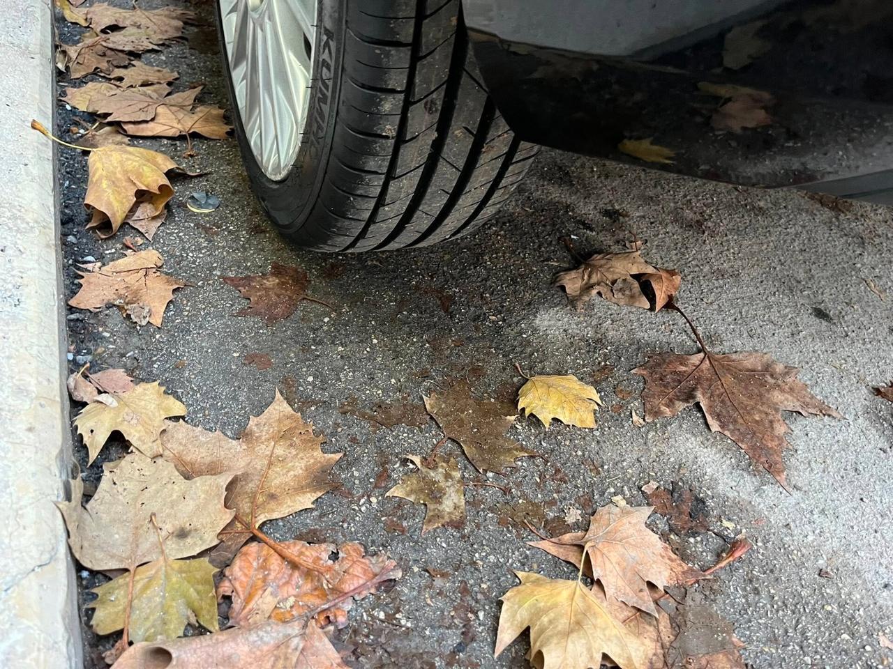 Ford Fiesta 1.5 TDCi 75CV 5 porte Titanium