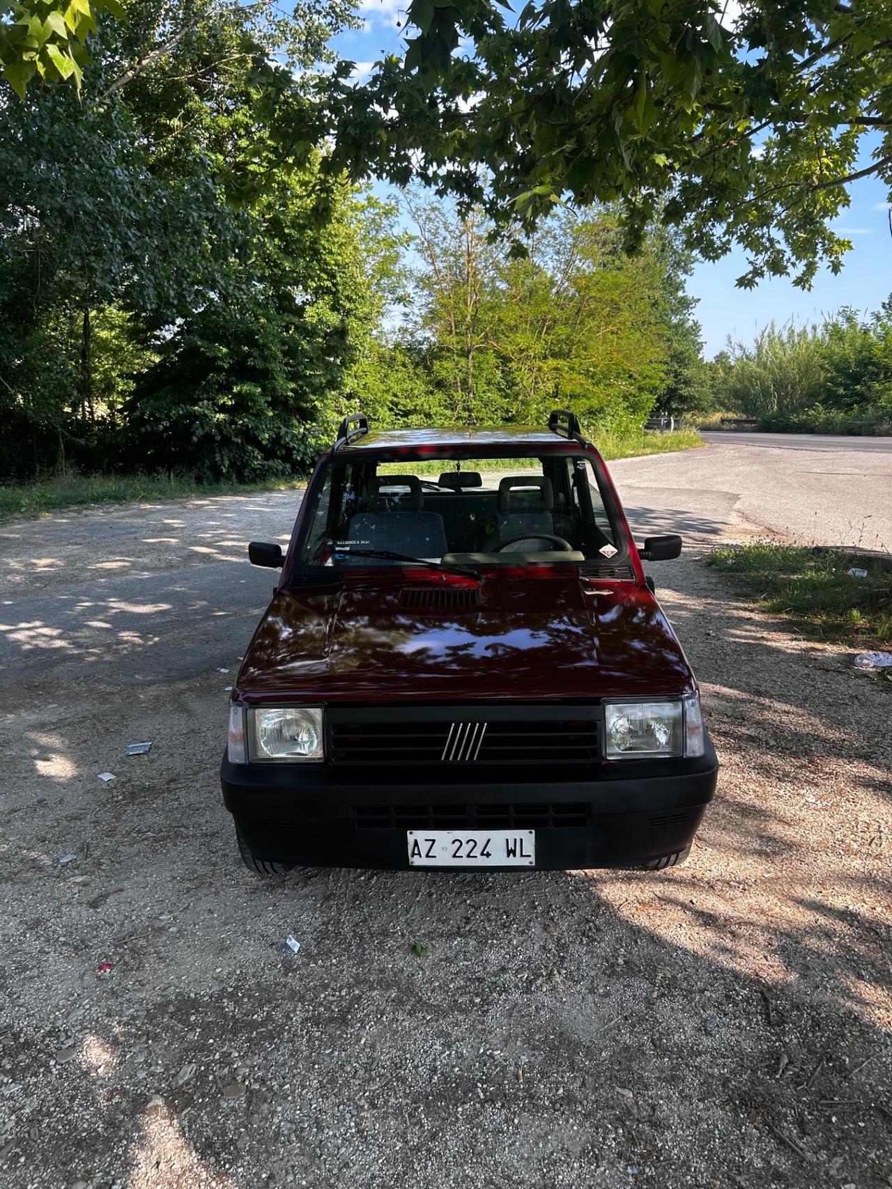 Fiat Panda 1100 i.e. cat Young
