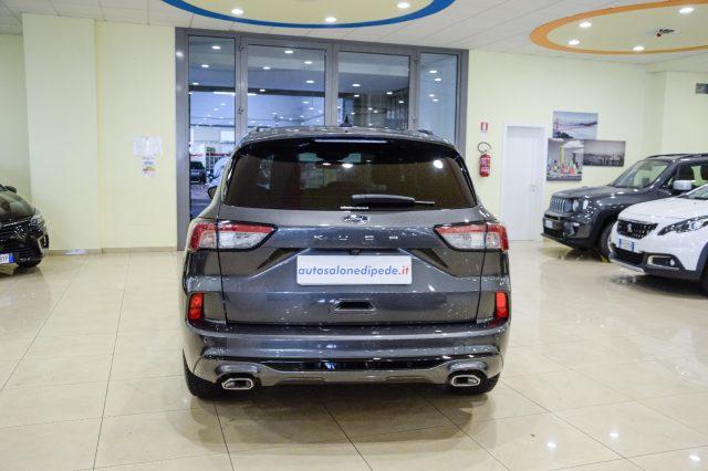 FORD Kuga 1.5 EcoBlue 120 CV 2WD ST-Line
