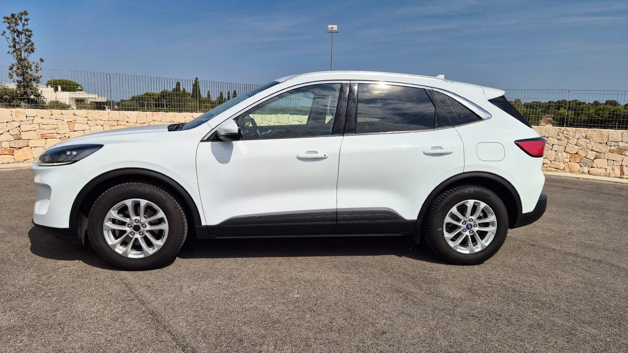 Ford Kuga 1.5 EcoBlue 120 CV aut. 2WD Titanium Business