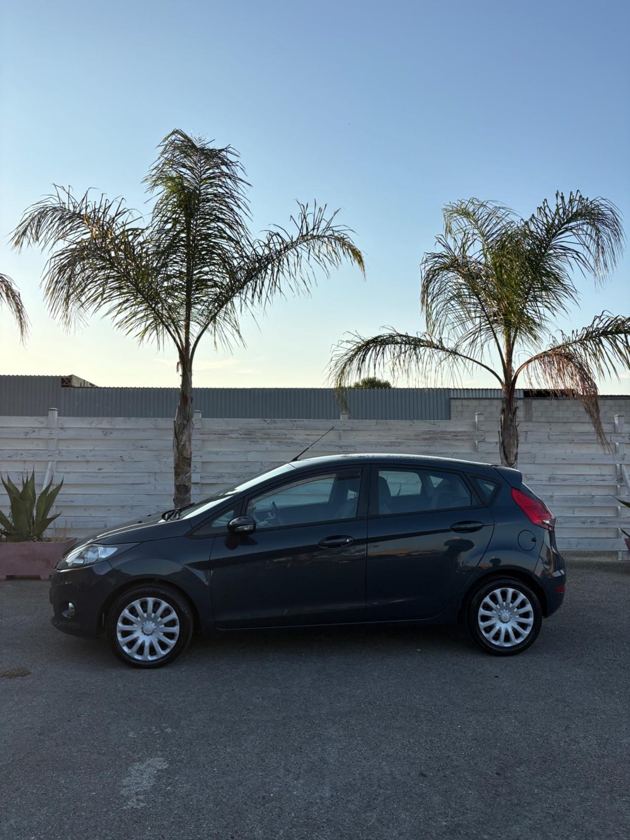 Ford Fiesta 1.6 TDCi 95 CV 5p. Tagliando eseguito