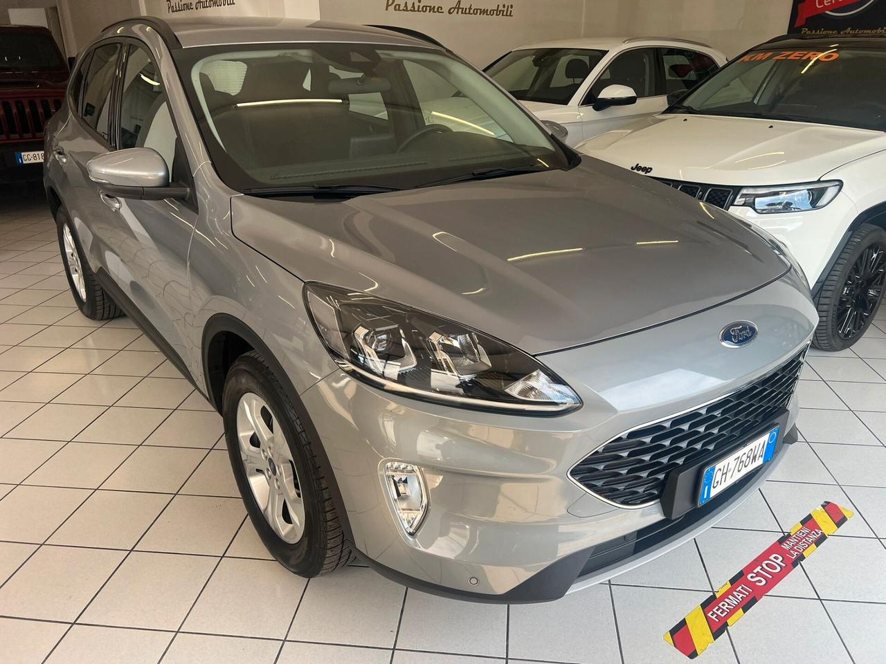 Ford Kuga 1.5 EcoBlue 120 CV 2WD ST-Line