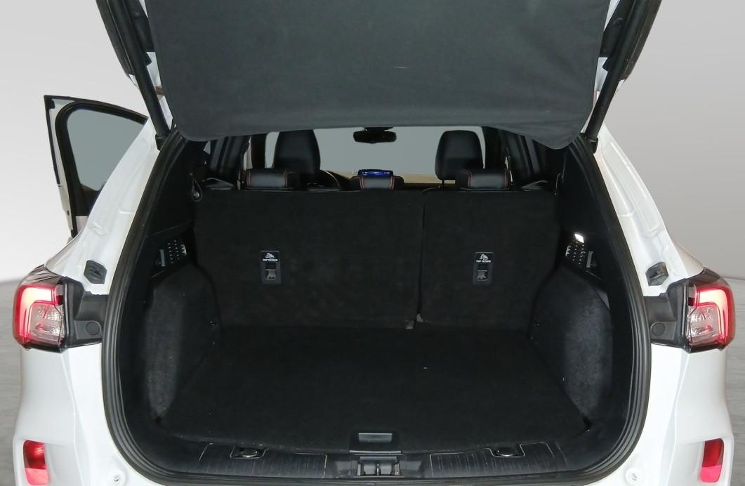 FORD Kuga 3ª serie - Kuga 1.5 EcoBlue 120 CV 2WD ST-Line X