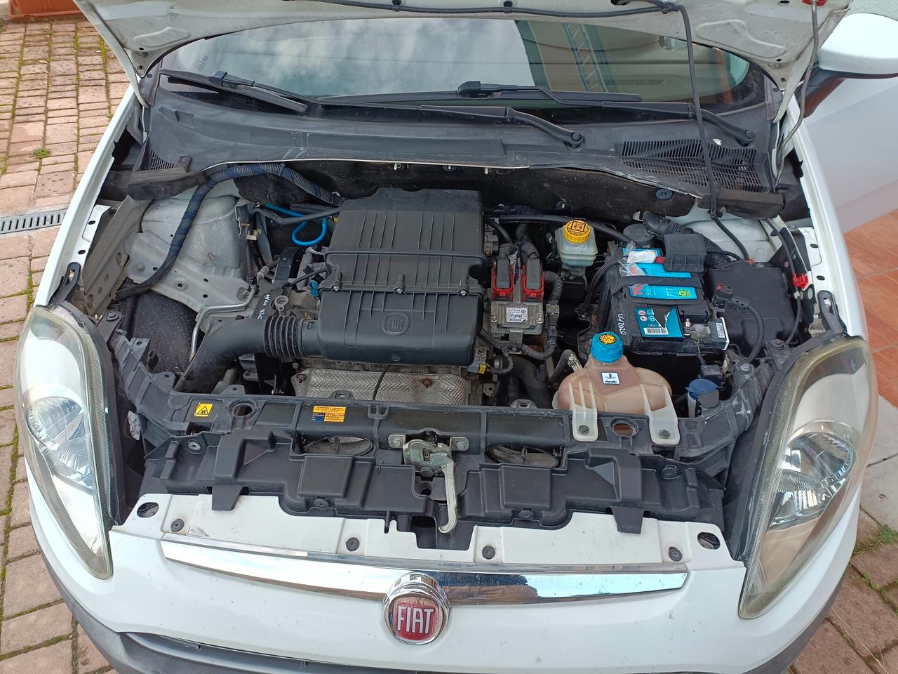 Fiat Punto Evo 1.4 5 porte S&S Active