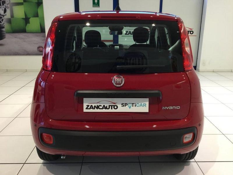 FIAT Panda Panda 1.0 FireFly S&S Hybrid Pop 65cv