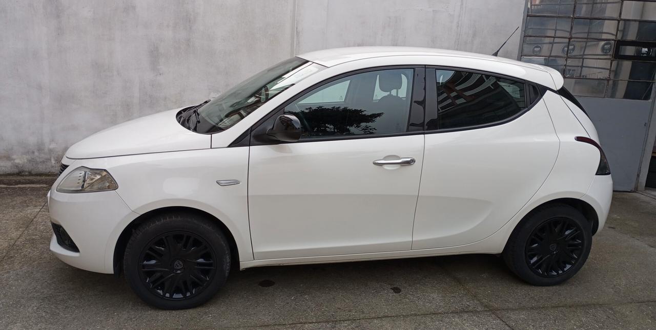 Lancia Ypsilon 1.2 69 CV 5 porte S&S Gold PREZZO REALE