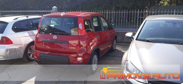 FIAT Panda 1.0 FireFly S&S Hybrid PRONTA CONSEGNA