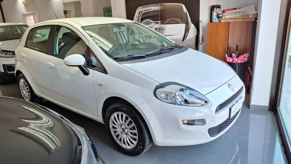 FIAT - Punto - 1.2 8V 5p. Street