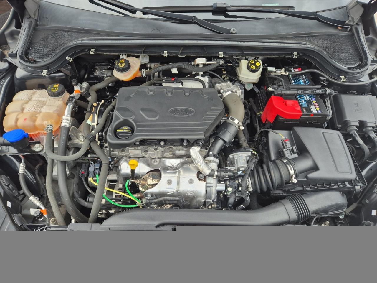 FORD Focus SW 1.5 EcoBlue 120cv Business S&S