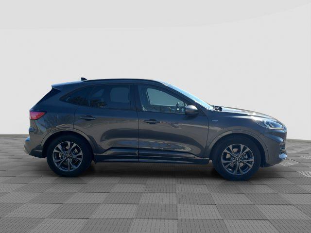 FORD Kuga Kuga 1.5 EcoBlue 120 CV aut. 2WD ST-Line