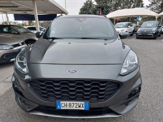 FORD Kuga 1.5 EcoBlue 120 CV 2WD ST-Line km 109000