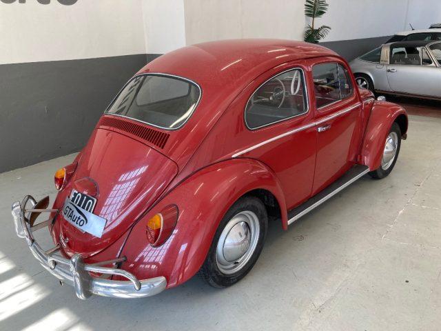 VOLKSWAGEN Maggiolino nasino 11-113