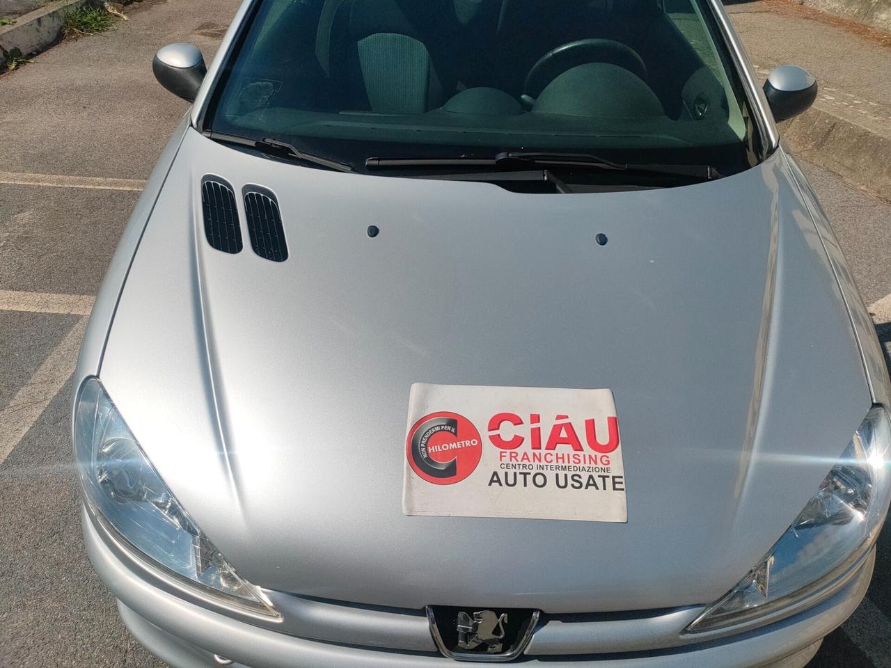 Peugeot 206 1.6 16V CC Enfant Terrible