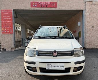 Fiat Panda 1.2 Dynamic "Solo per Export"