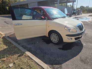 Lancia Ypsilon 1.2 16V Platino