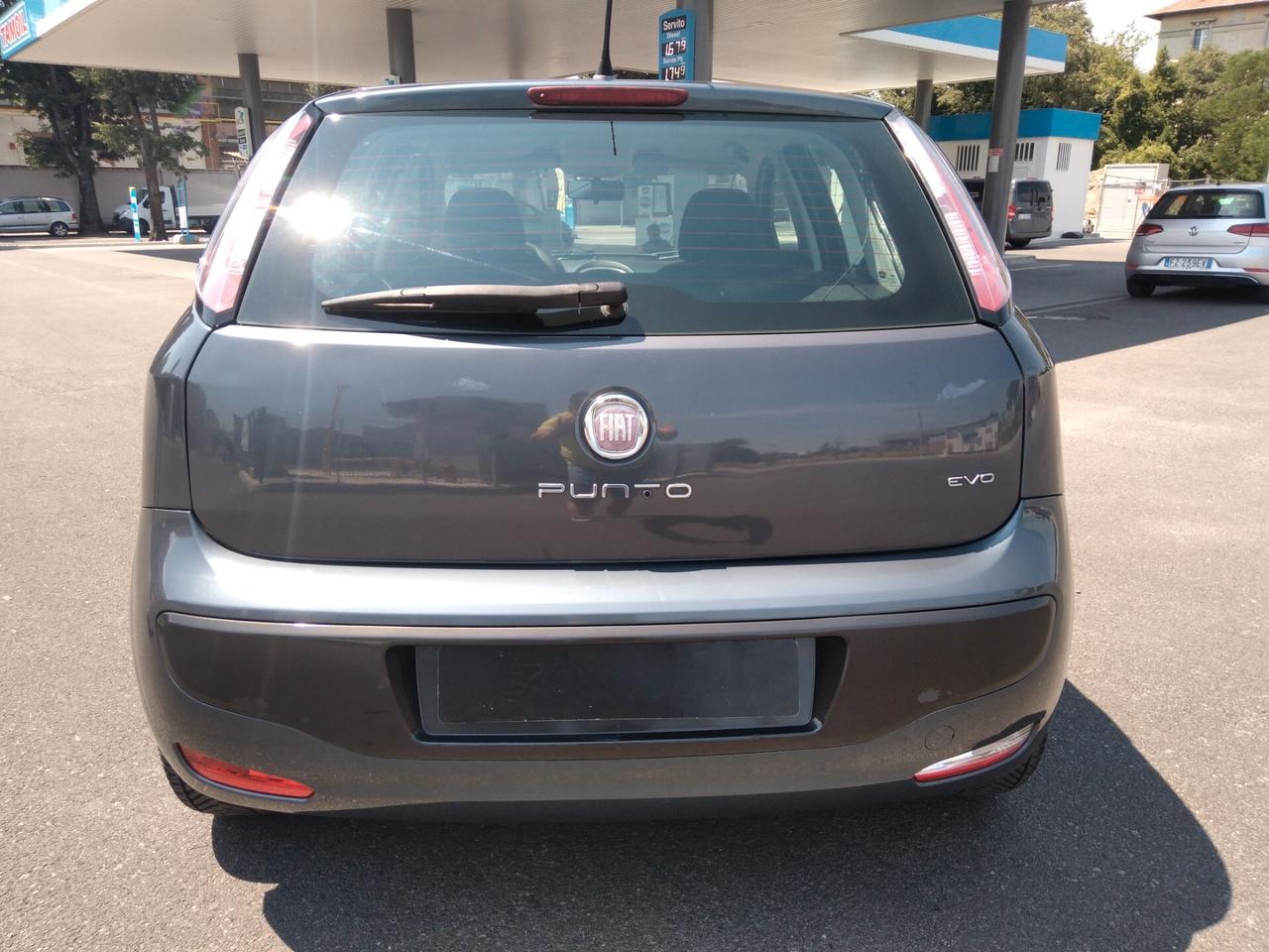 Fiat Punto Evo 1.3 Mjt 75 CV 5 porte Dynamic x neopatentati
