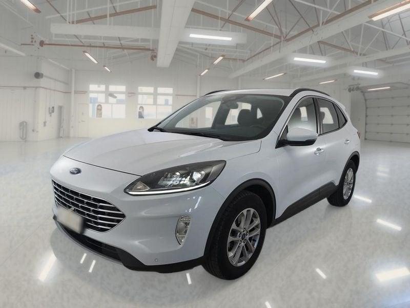Ford Kuga Kuga 1.5 EcoBlue 120 CV aut. 2WD Titanium Business