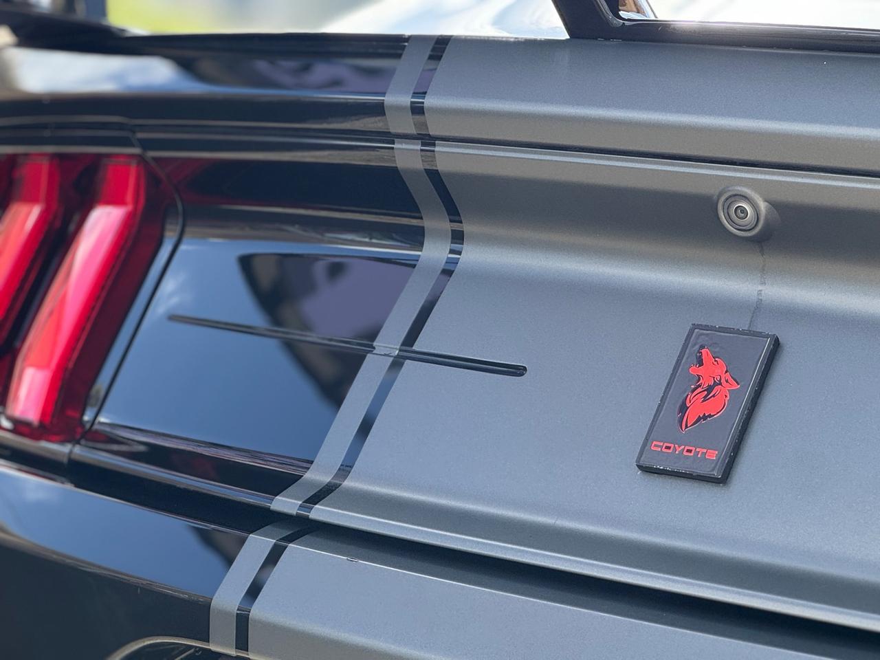 FORD MUSTANG 5.0 GT V8 700CV ROUSH SUPERCHARGED UNICA