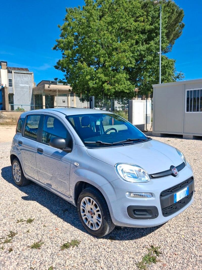 FIAT Panda 3ª serie Panda 1.2 Easy