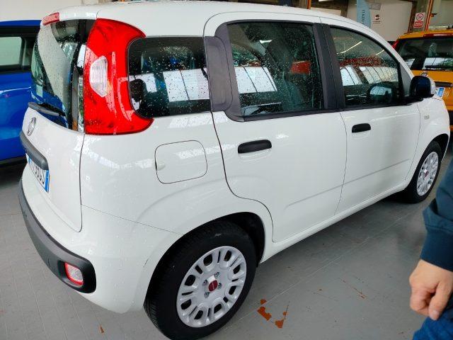 FIAT Panda 1.2 Easy km 9.000