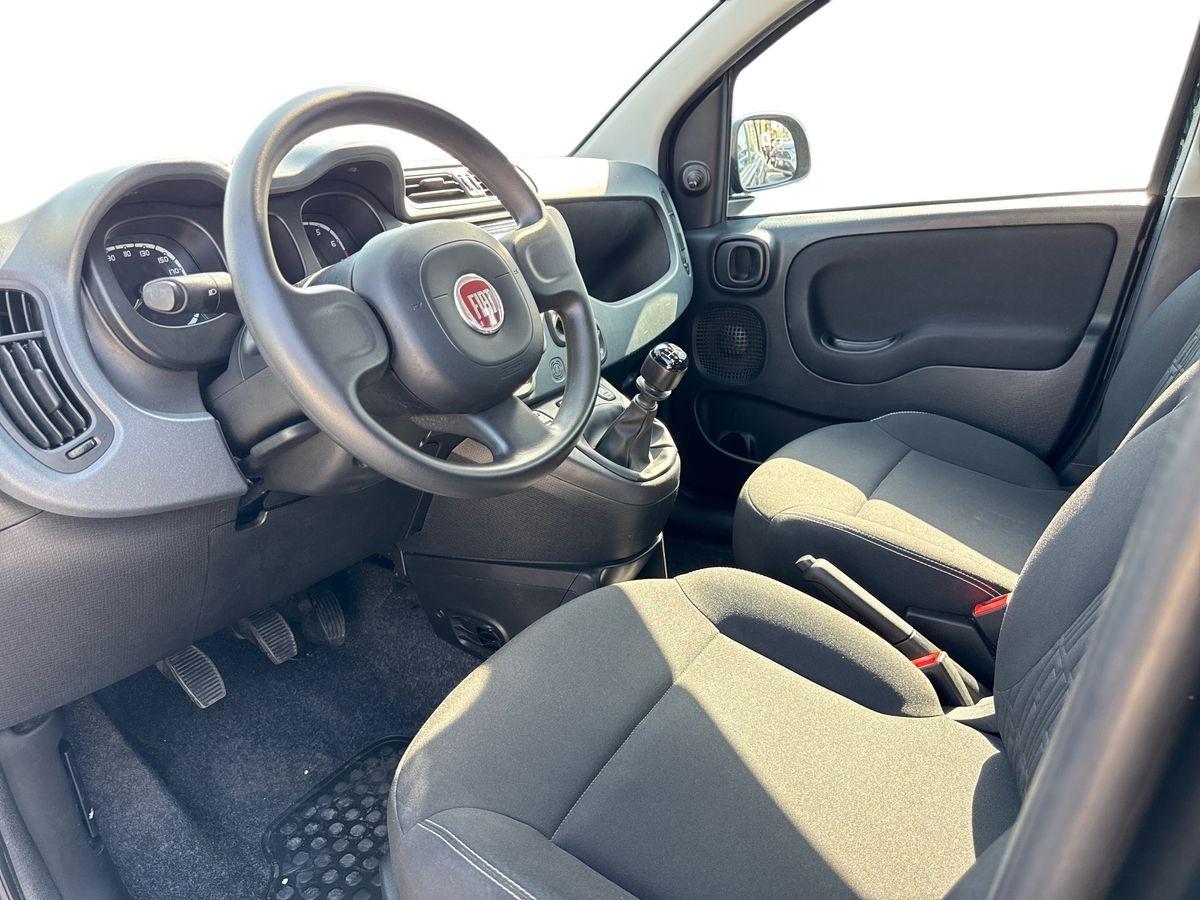 FIAT Panda III 2021 - Panda 1.0 firefly hybrid s&s 70cv