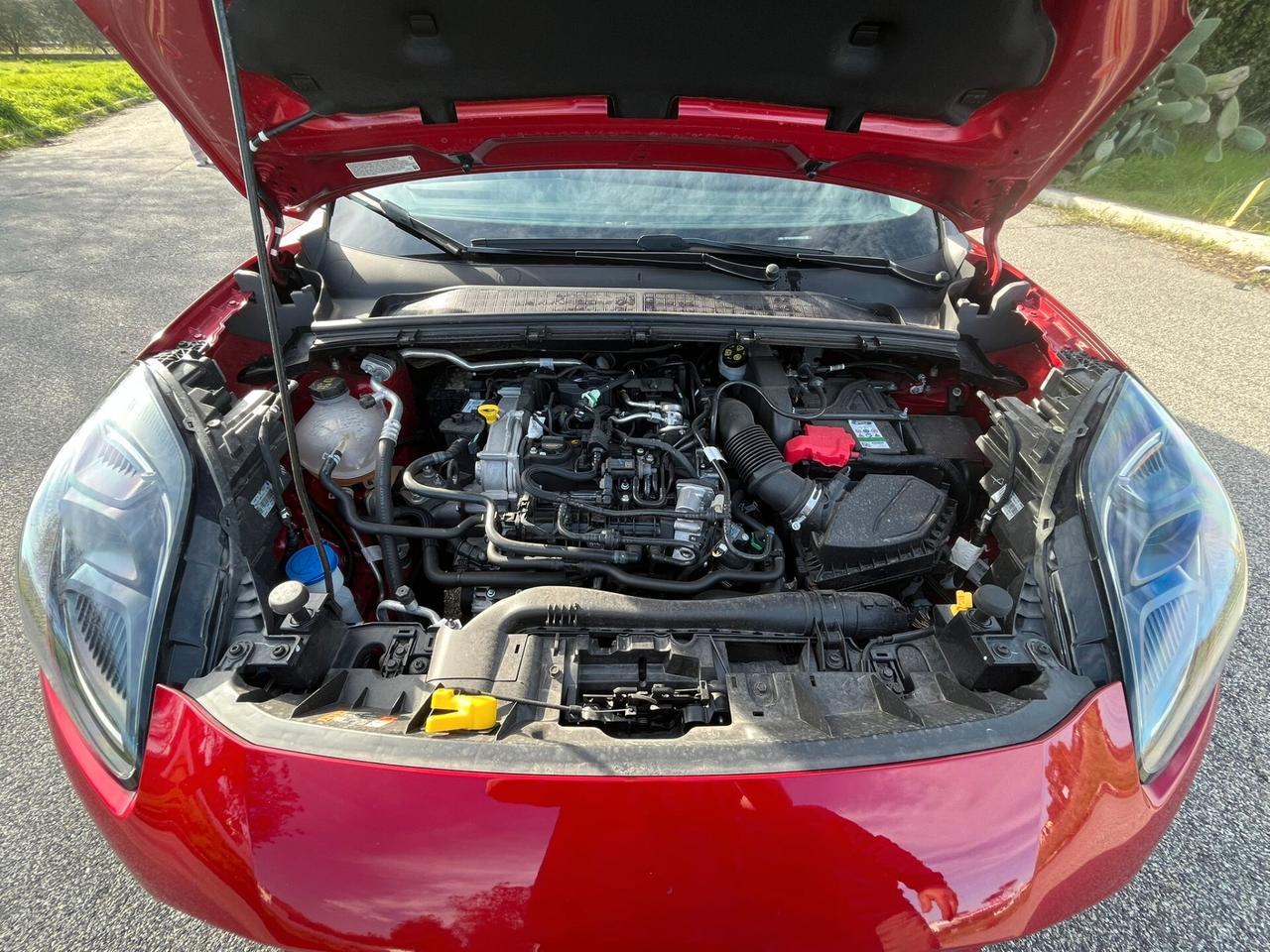 Ford Puma 1.0 EcoBoost Hybrid 125 CV S&S Titanium