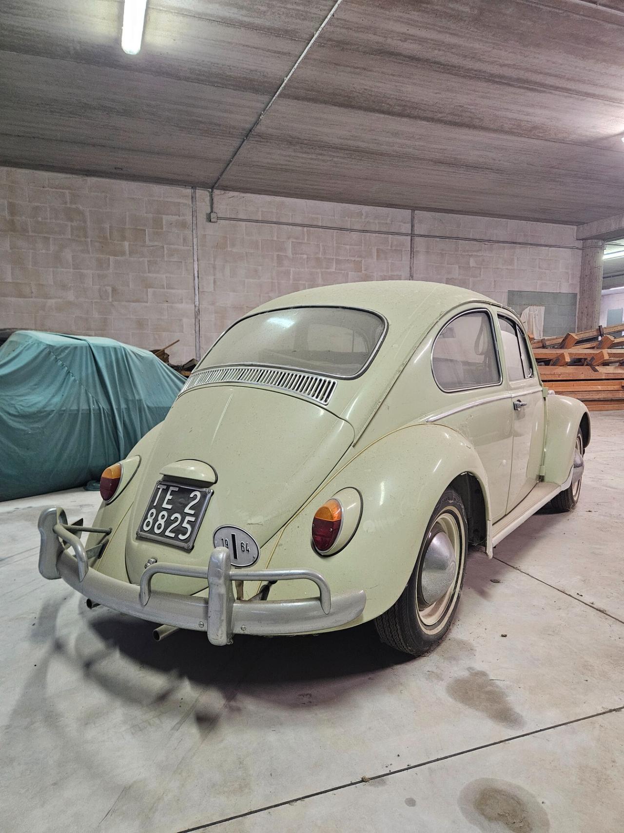 Volkswagen Maggiolino 6v