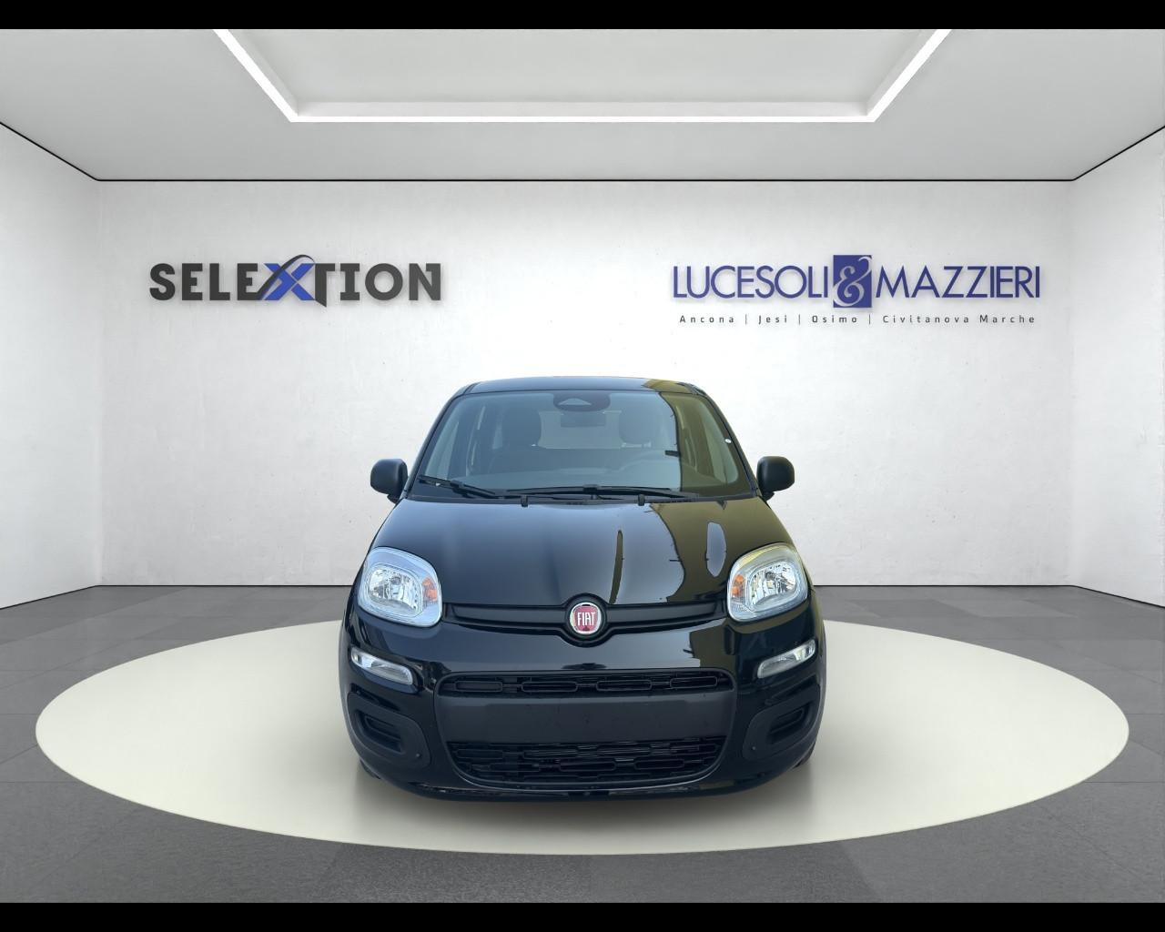 FIAT Panda 1.0 70cv Hybrid Panda