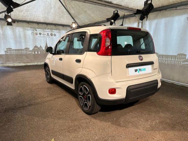 FIAT Panda my21 10 70cv hybrid city life