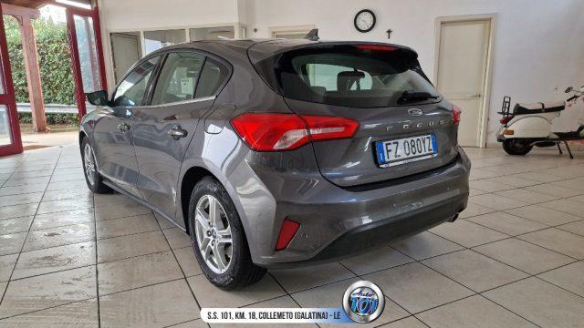 FORD Focus 1.5 EcoBlue 120 CV 5p. Business