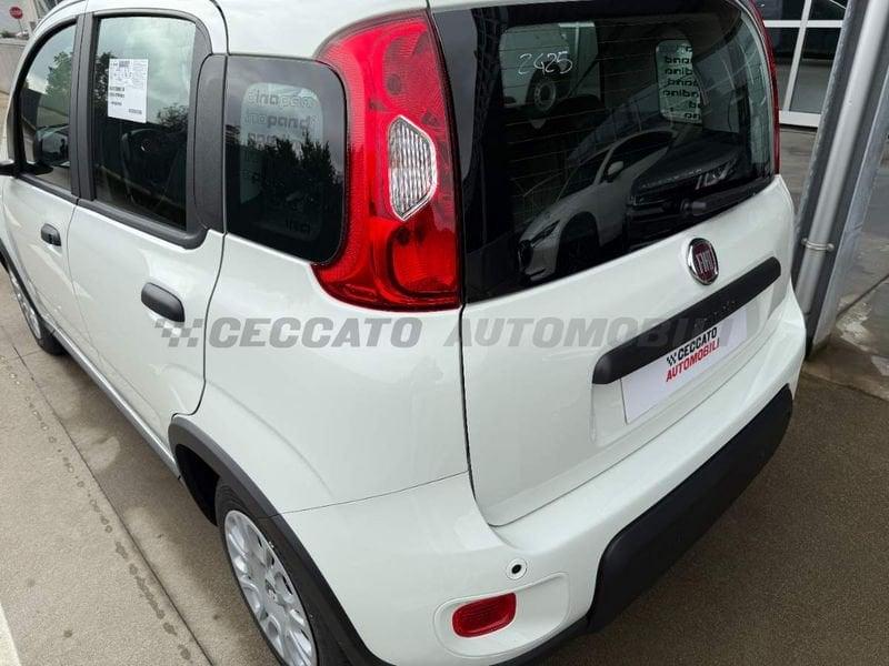 FIAT Panda Panda 1.0 70cv Hybrid Panda
