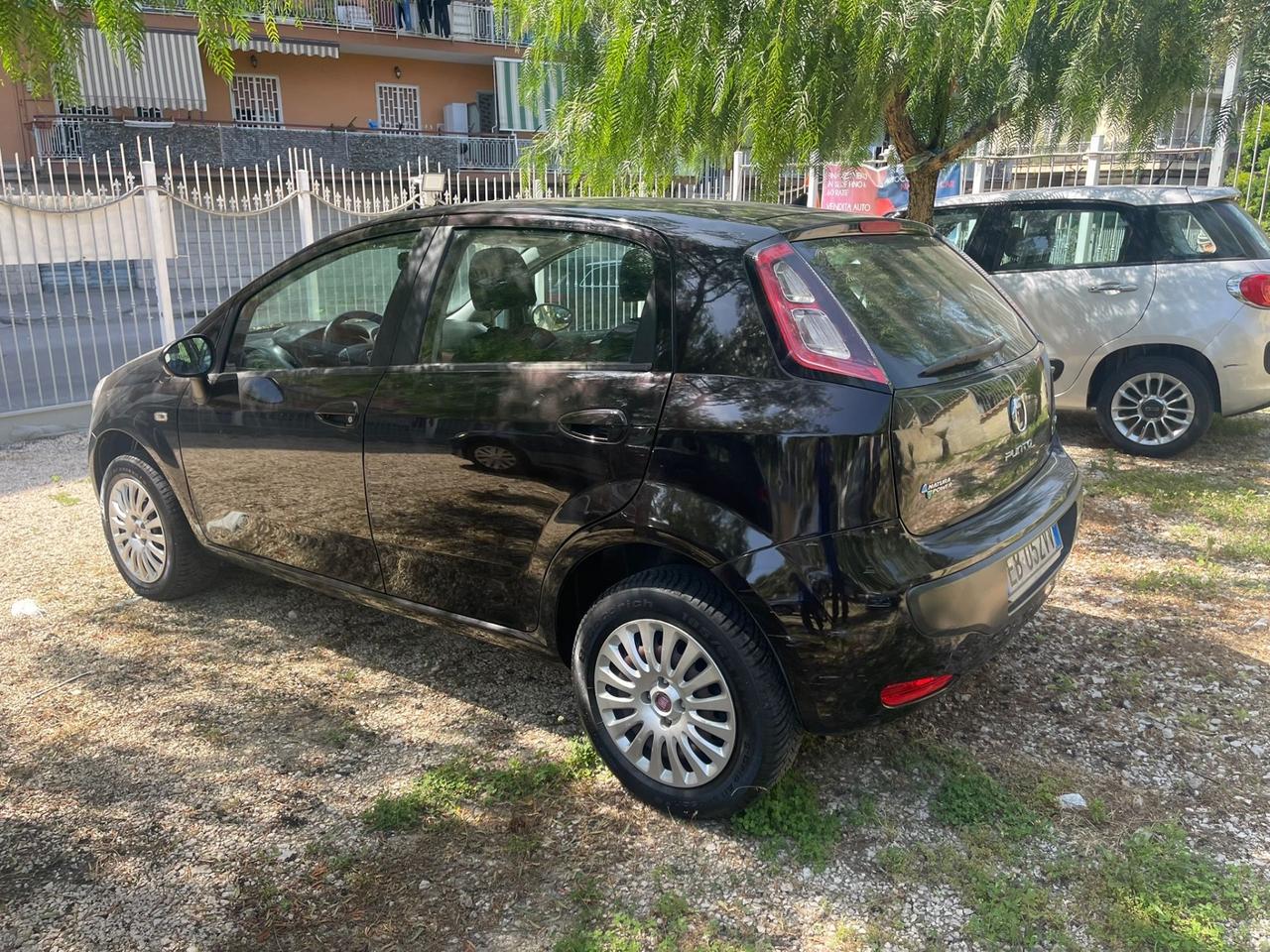 Fiat Punto Evo Punto Evo 1.4 5 porte Active