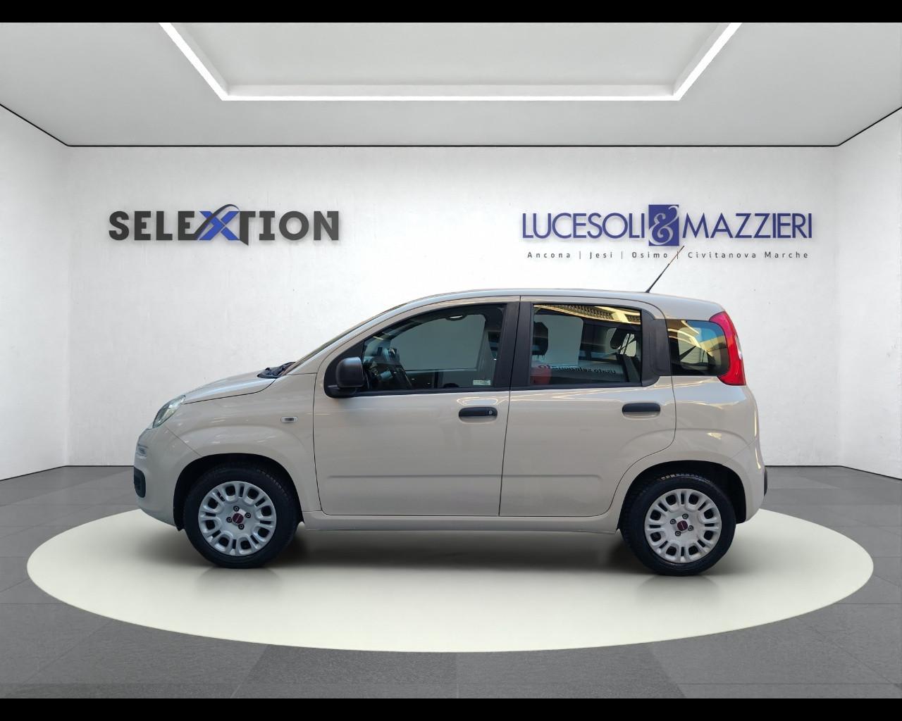 FIAT Panda 3ª serie - Panda 1.2 EasyPower Easy