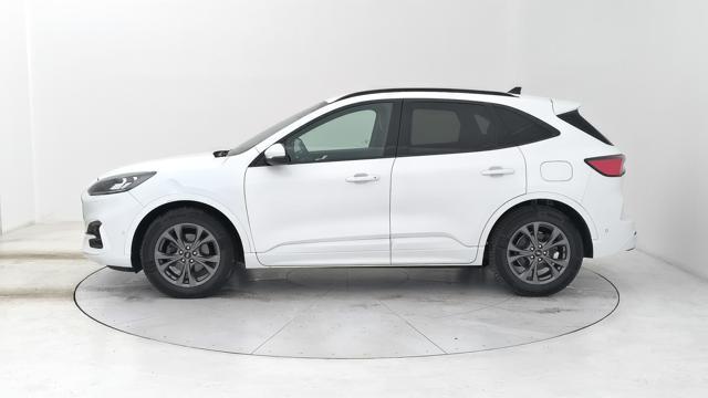FORD Kuga 1.5 ecoblue ST-Line X 2wd 120cv auto