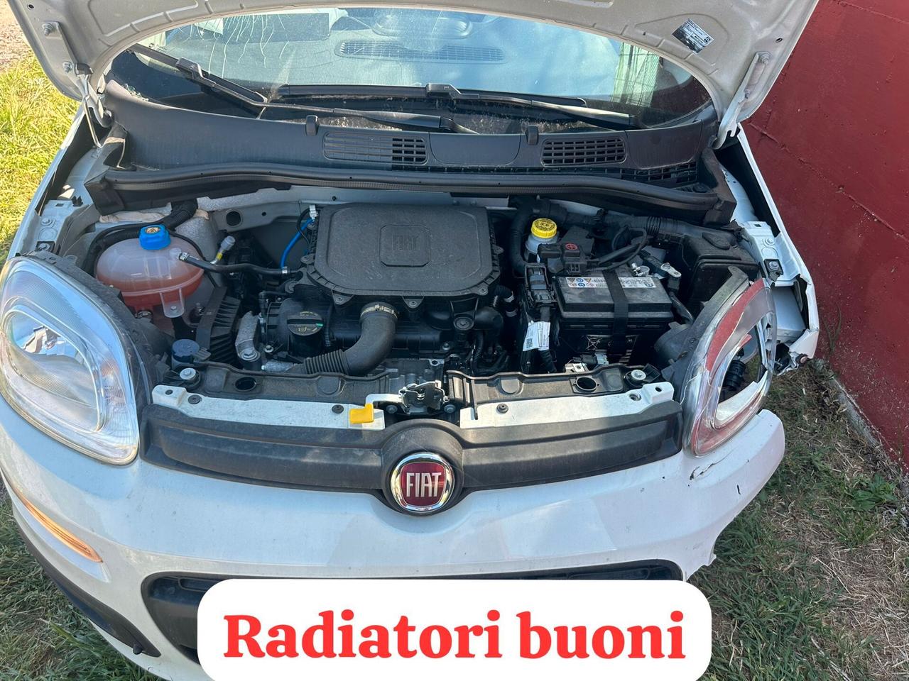 Fiat Panda 1.0 FireFly S&S Hybrid