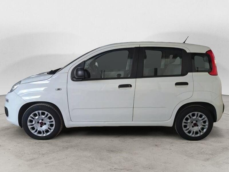 FIAT Panda 1.3 MJT 95 CV FENDINEBBIA/COMANDI AL VOLANTE (041)