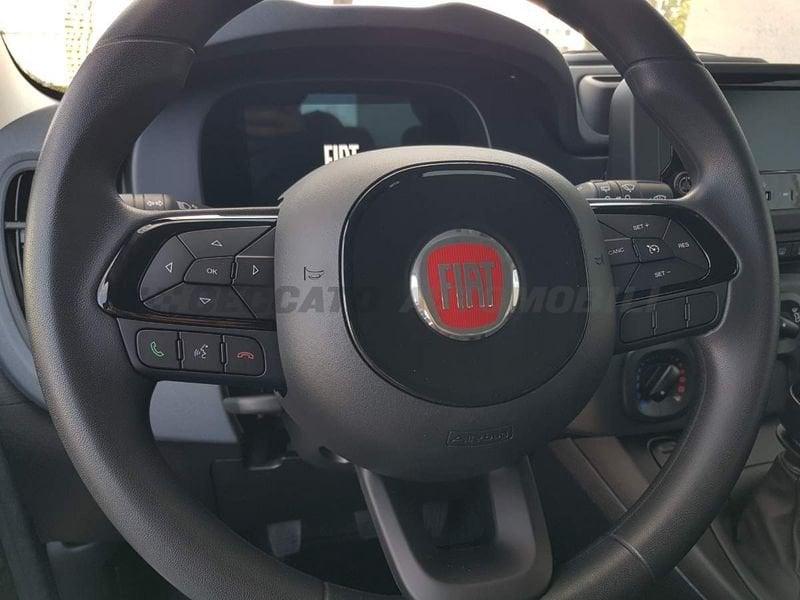FIAT Panda Panda 1.0 70cv Hybrid Icon