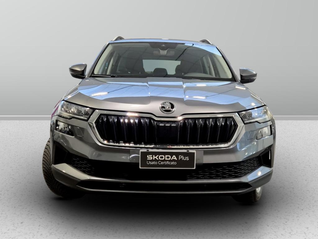 Skoda Karoq 2.0 tdi evo Executive 4x4 150cv dsg