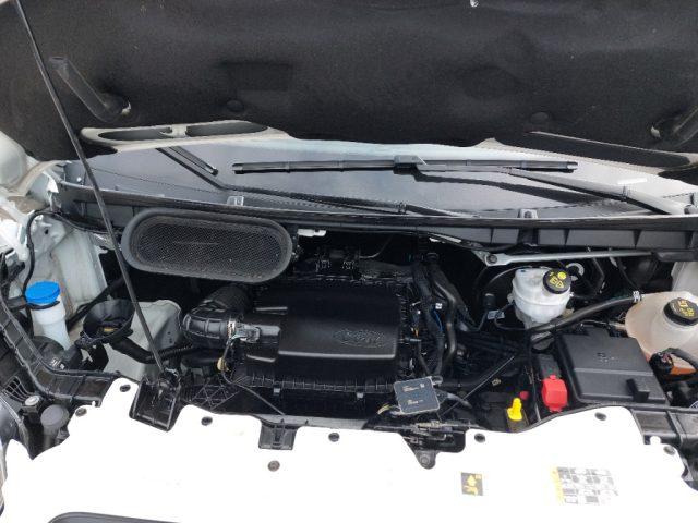 FORD Transit 350 2.0TDCi EcoBlue MHEV 130CV PM-TM Furgone TRAND