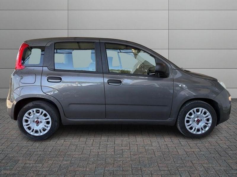 FIAT Panda Panda 1.0 firefly hybrid City Life s&s 70cv