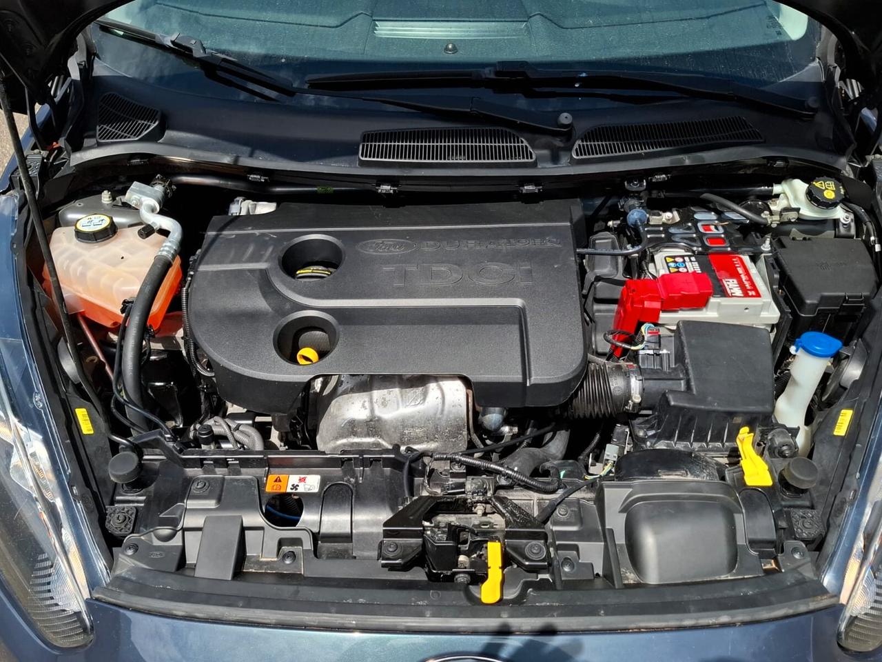 Ford Fiesta 1.5 TDCi 75CV 5 porte SOLO 139.000 KM