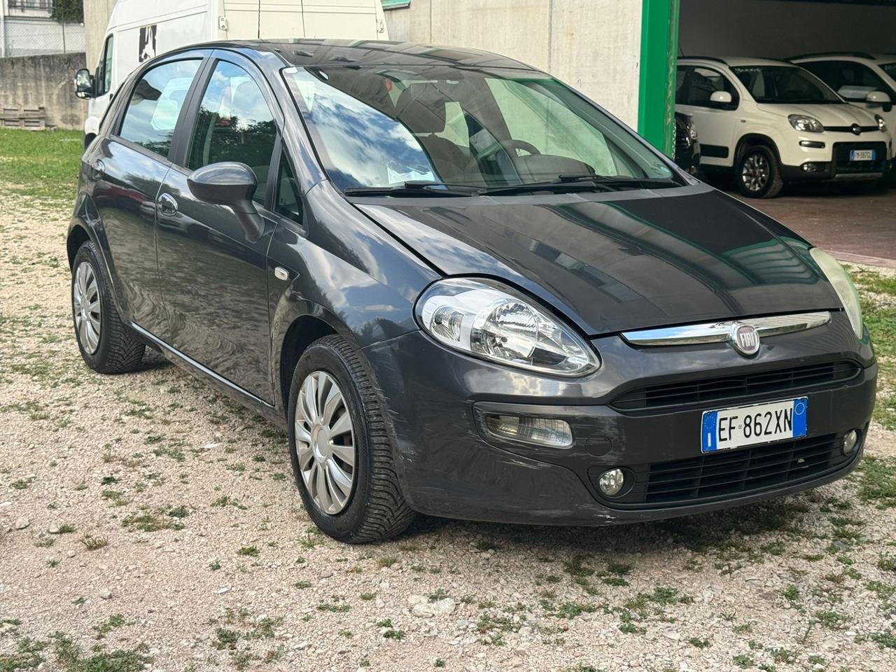 Fiat Punto Evo 1.3 Mjt 75 CV 5 porte Dynamic NEOPATENTATI