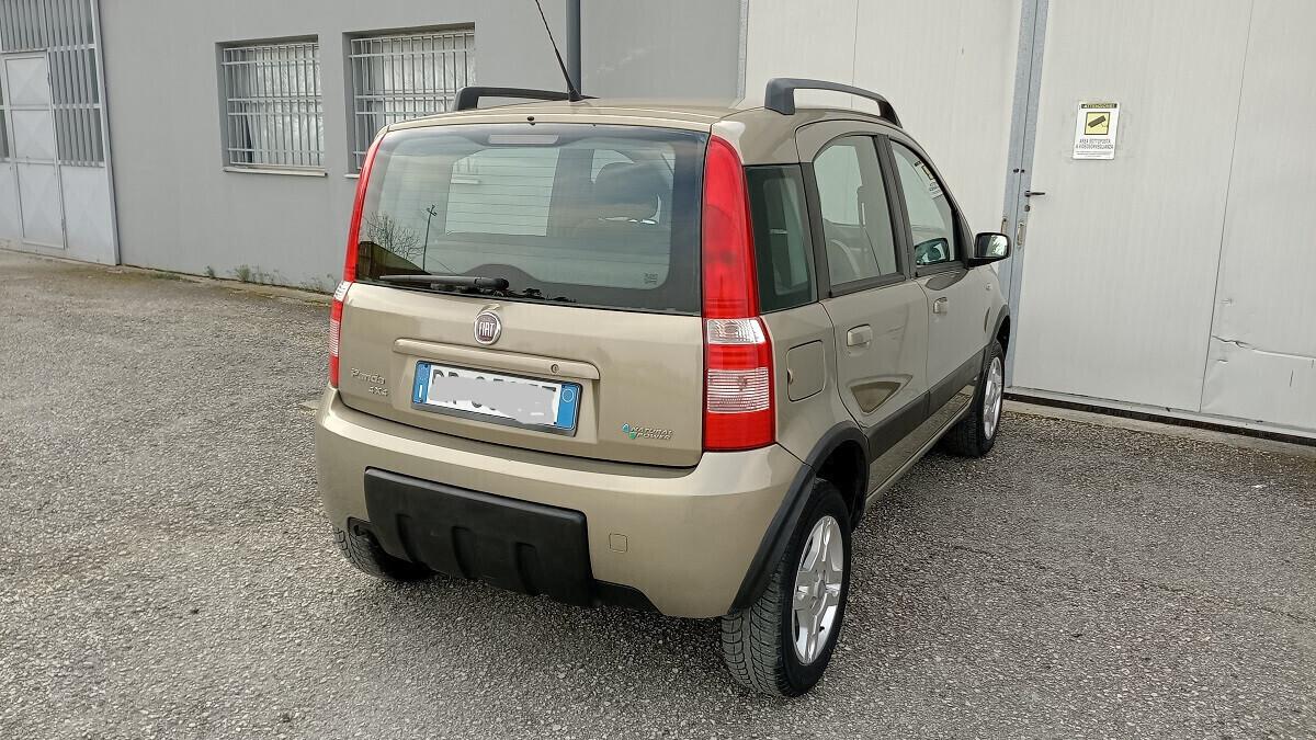 Panda Climbing Natural Power - Motore revisionato