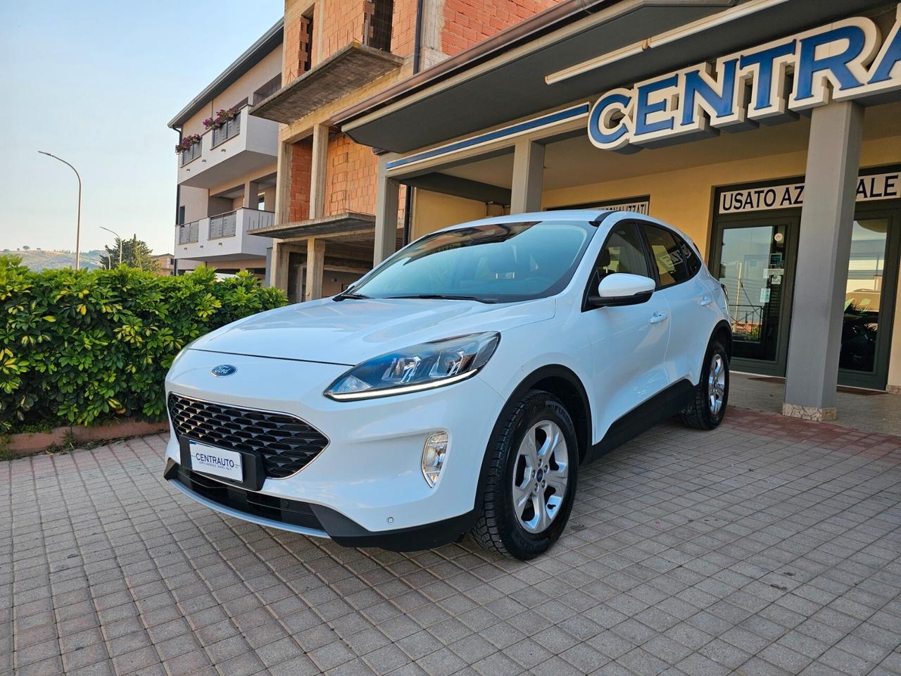 Ford Kuga 1.5 EcoBlue 120 CV aut. 2WD Connect