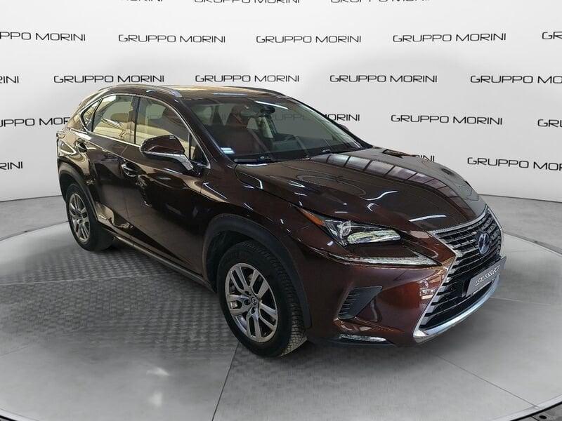 Lexus NX Hybrid 4WD Executive