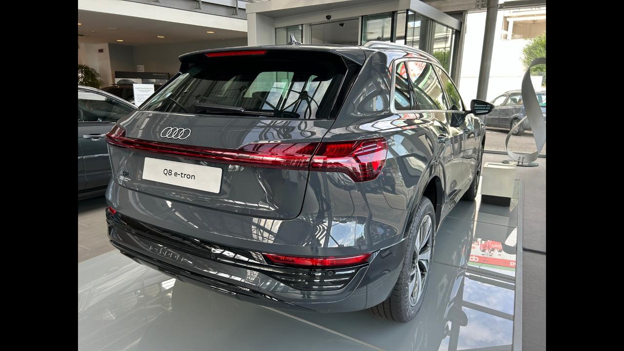 Audi Q8 e-tron 250/95