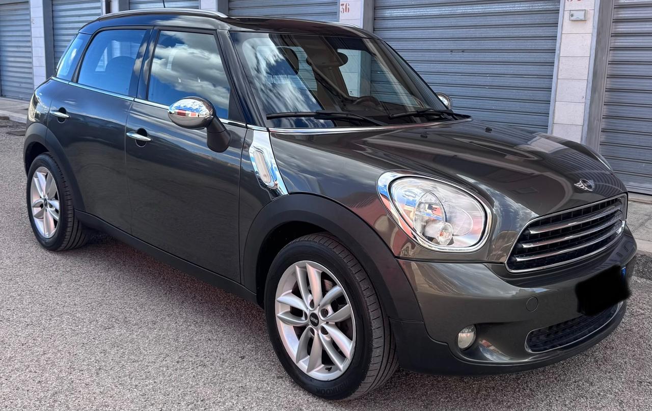 Mini countryman